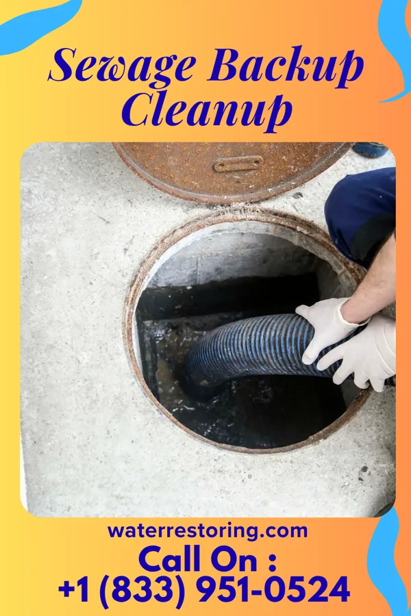 Sewage Backup Cleanup in Scranton, AR